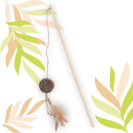 ETHI'CAT Karton Scheibe