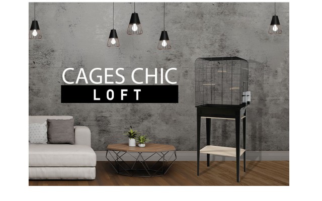 LOFT Spirit