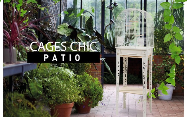 PATIO-Spirit