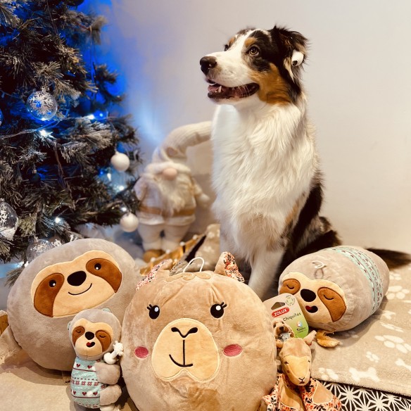 Community-Foto Nummer 5