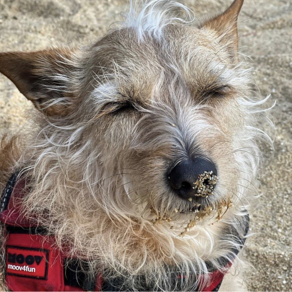 Community-Foto Nummer 5