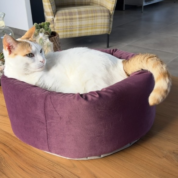 Community-Foto Nummer 4