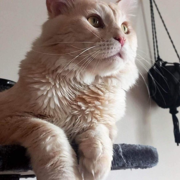 Community-Foto Nummer 3