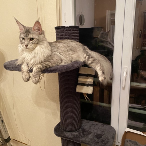 Community-Foto Nummer 2