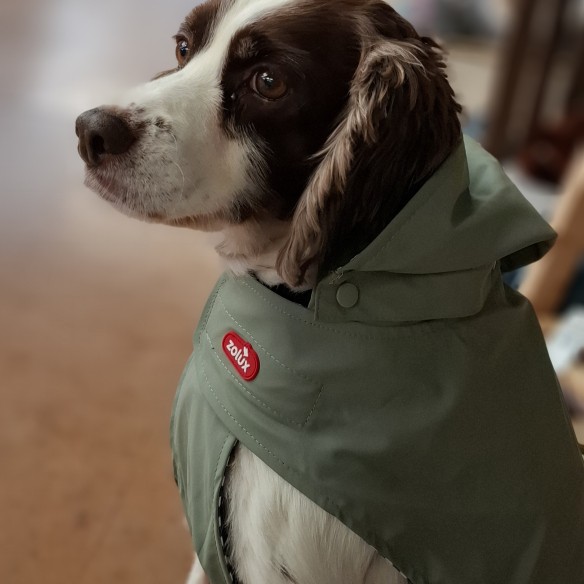 Community-Foto Nummer 1