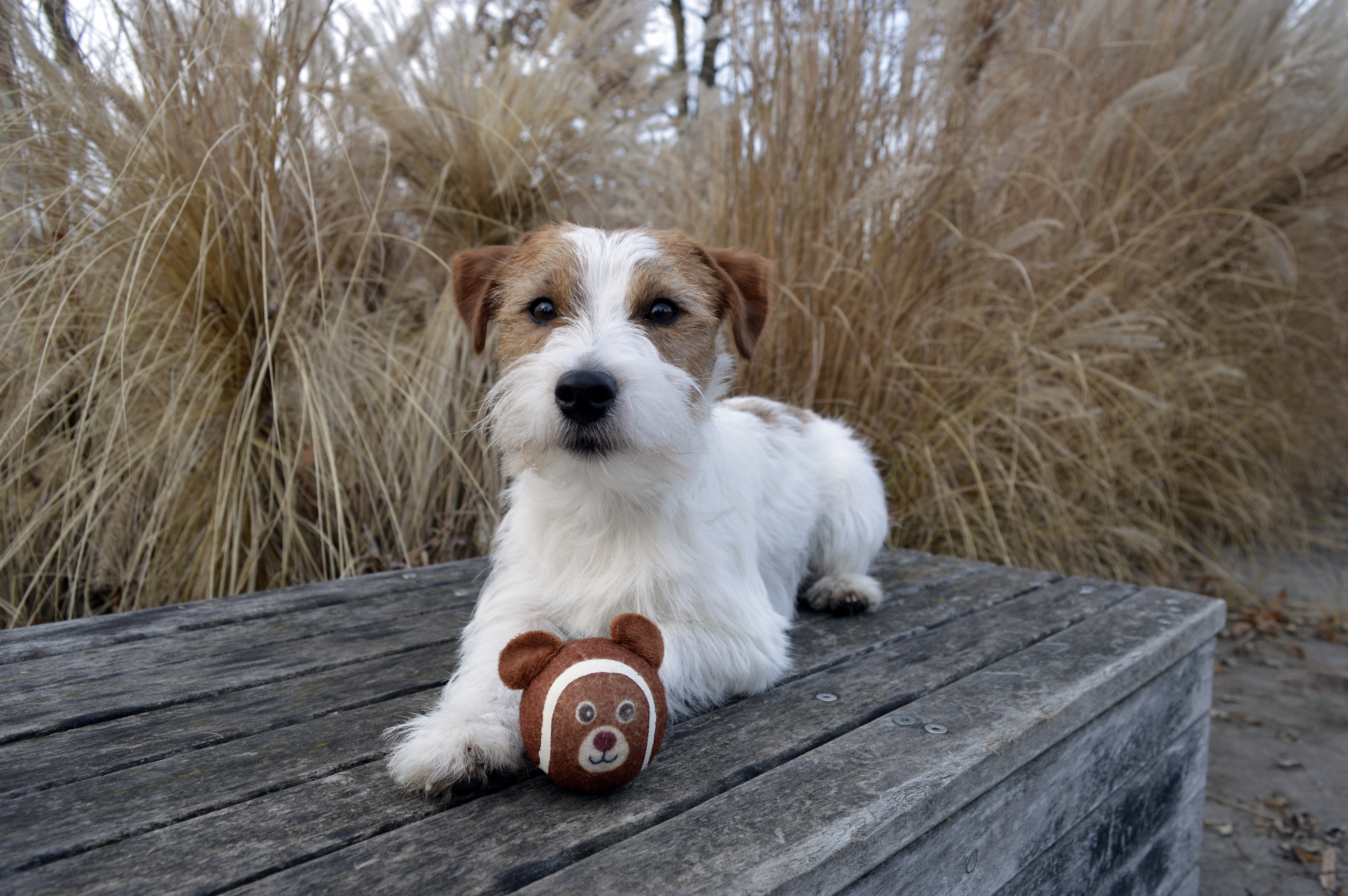 Community-Foto Nummer 288