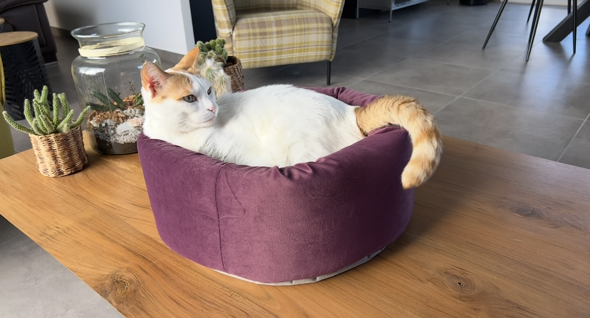 Community-Foto Nummer 289