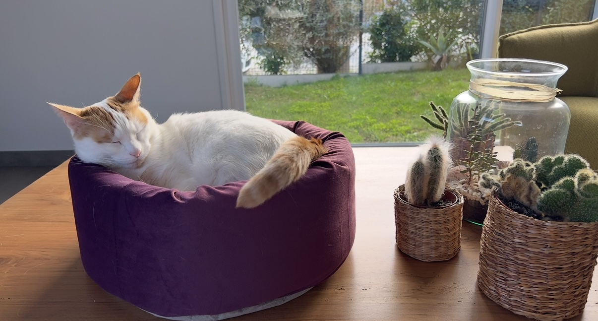 Community-Foto Nummer 290