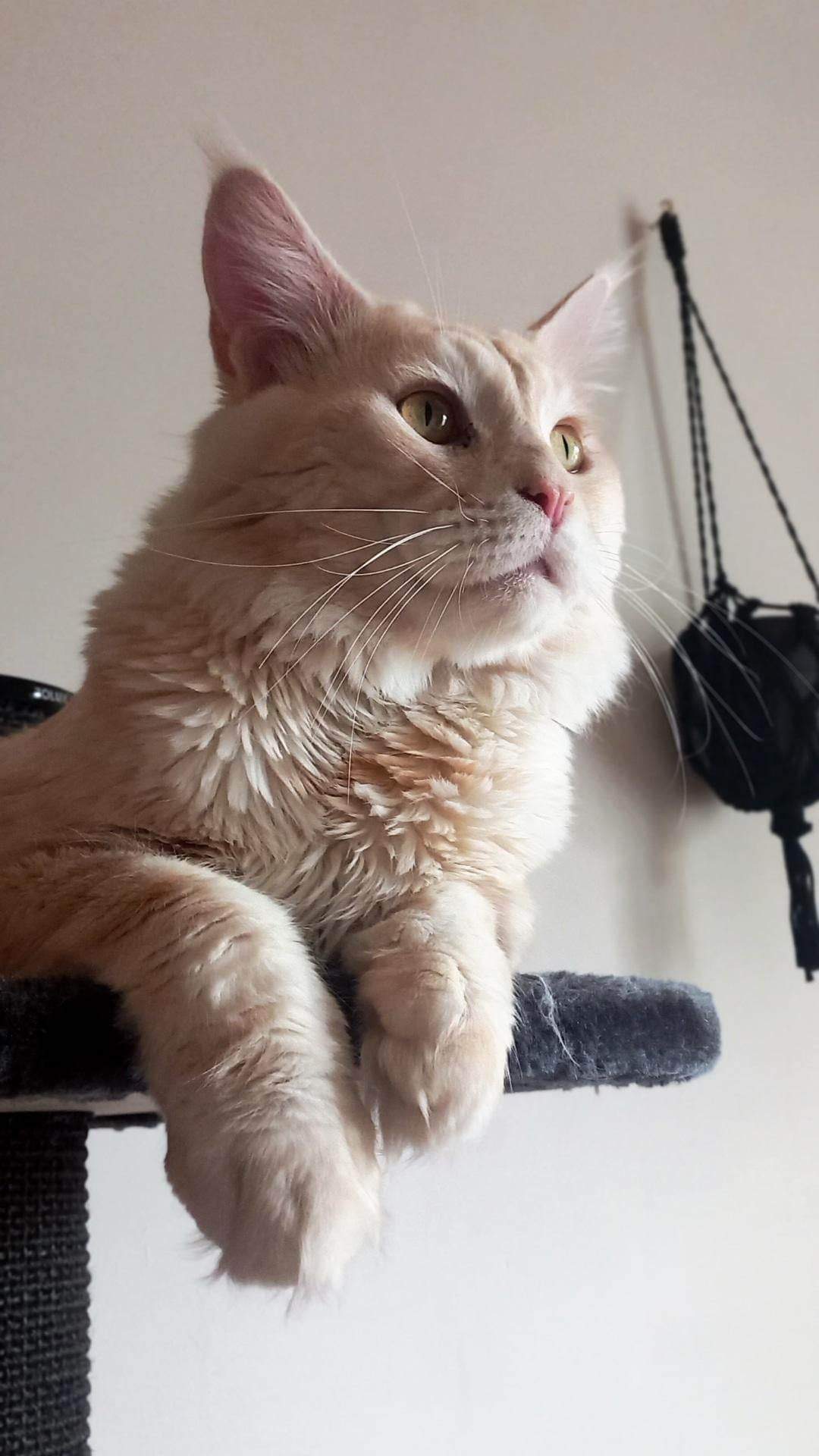 Community-Foto Nummer 292