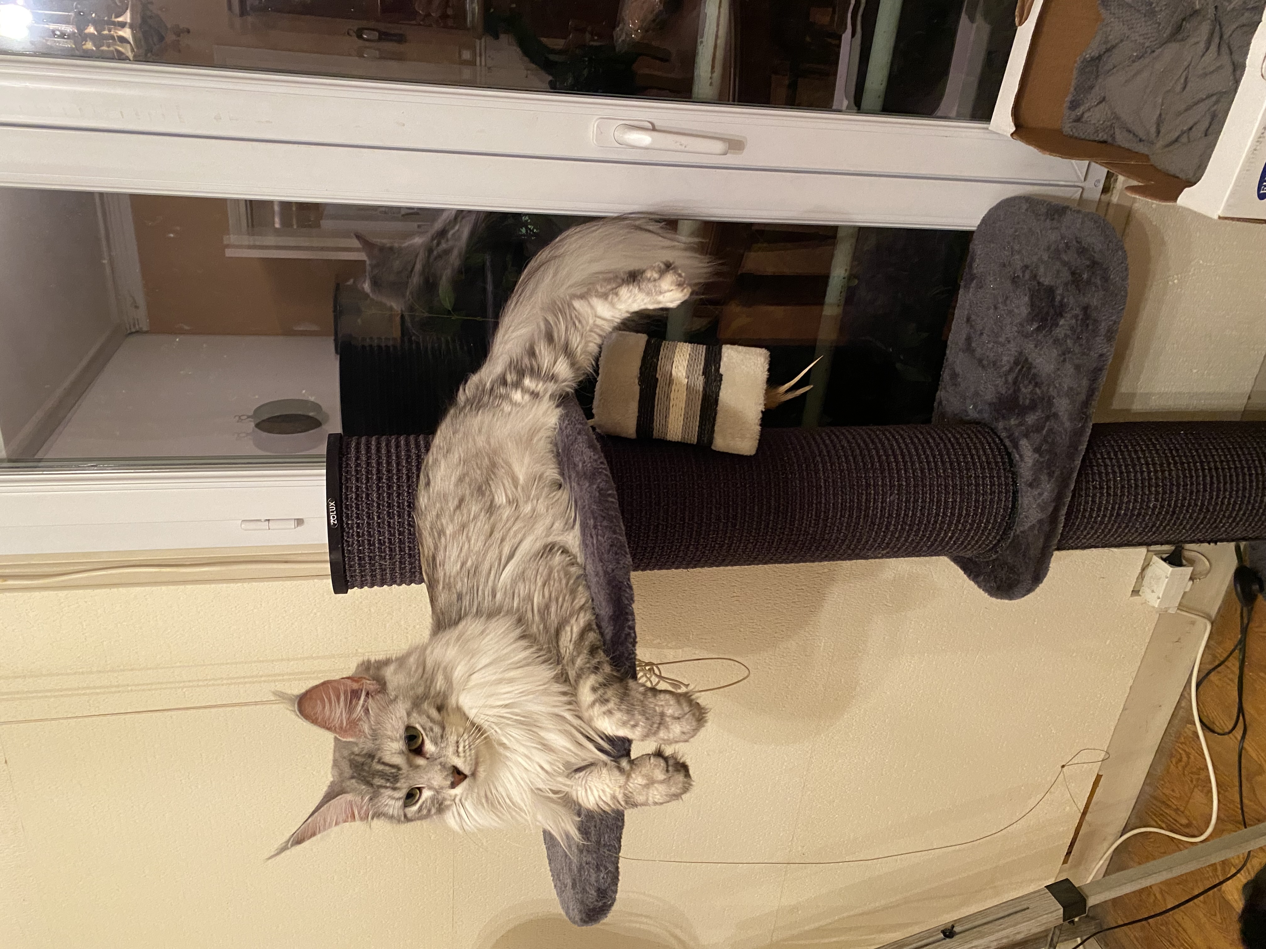 Community-Foto Nummer 293