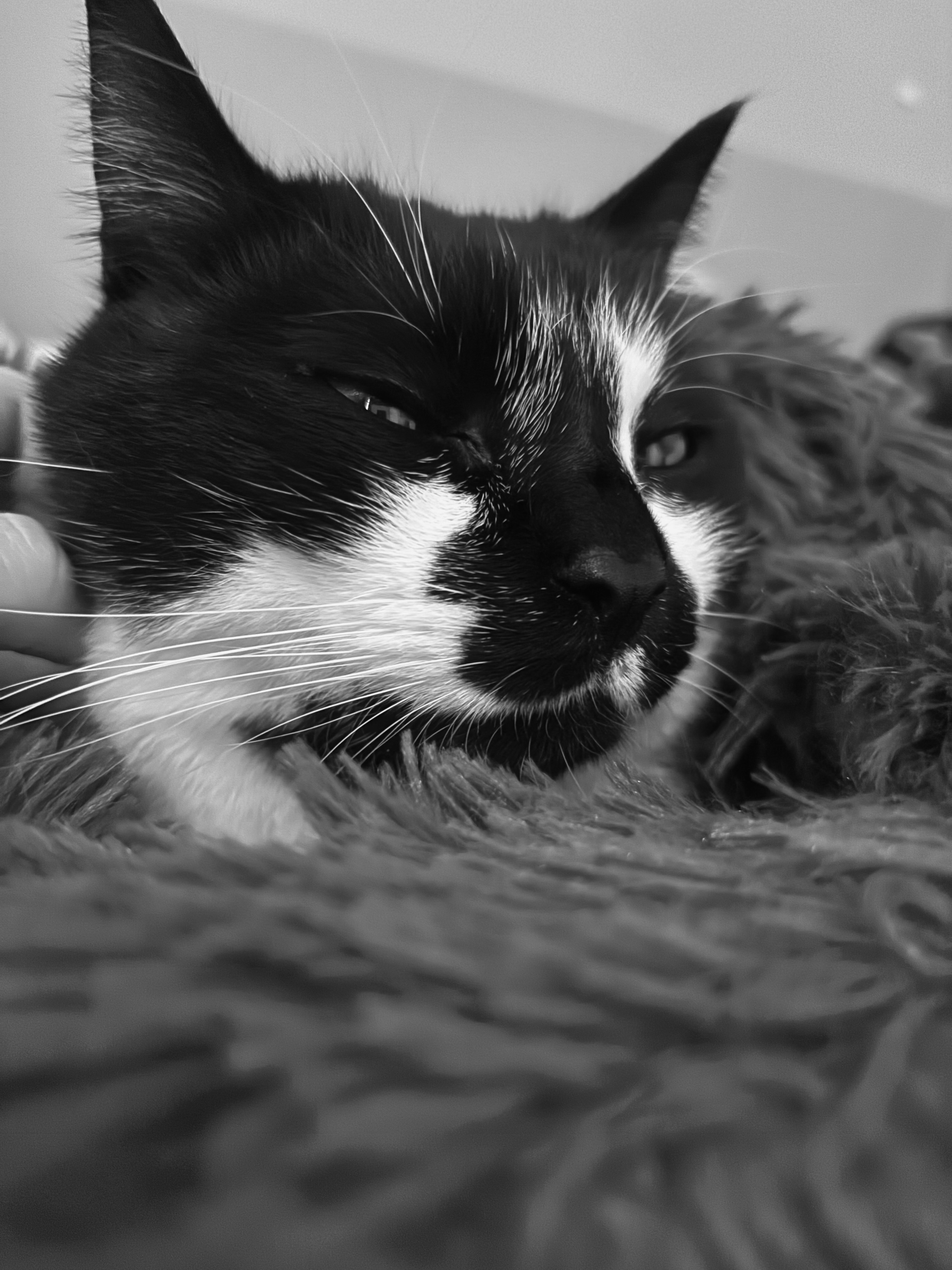 Community-Foto Nummer 294