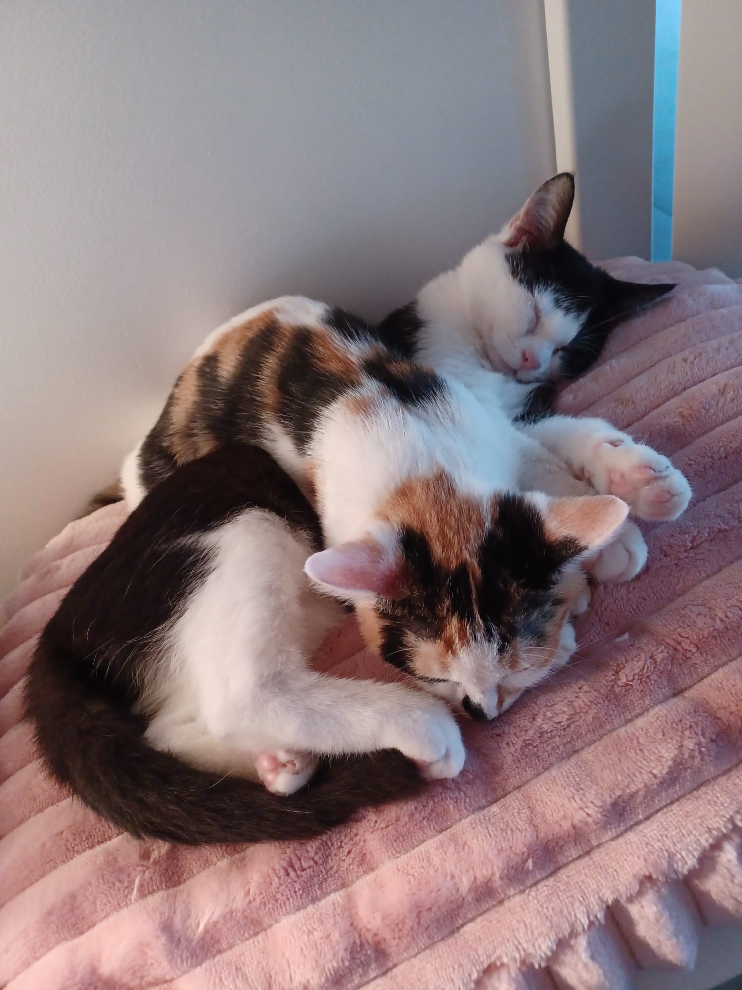 Community-Foto Nummer 298