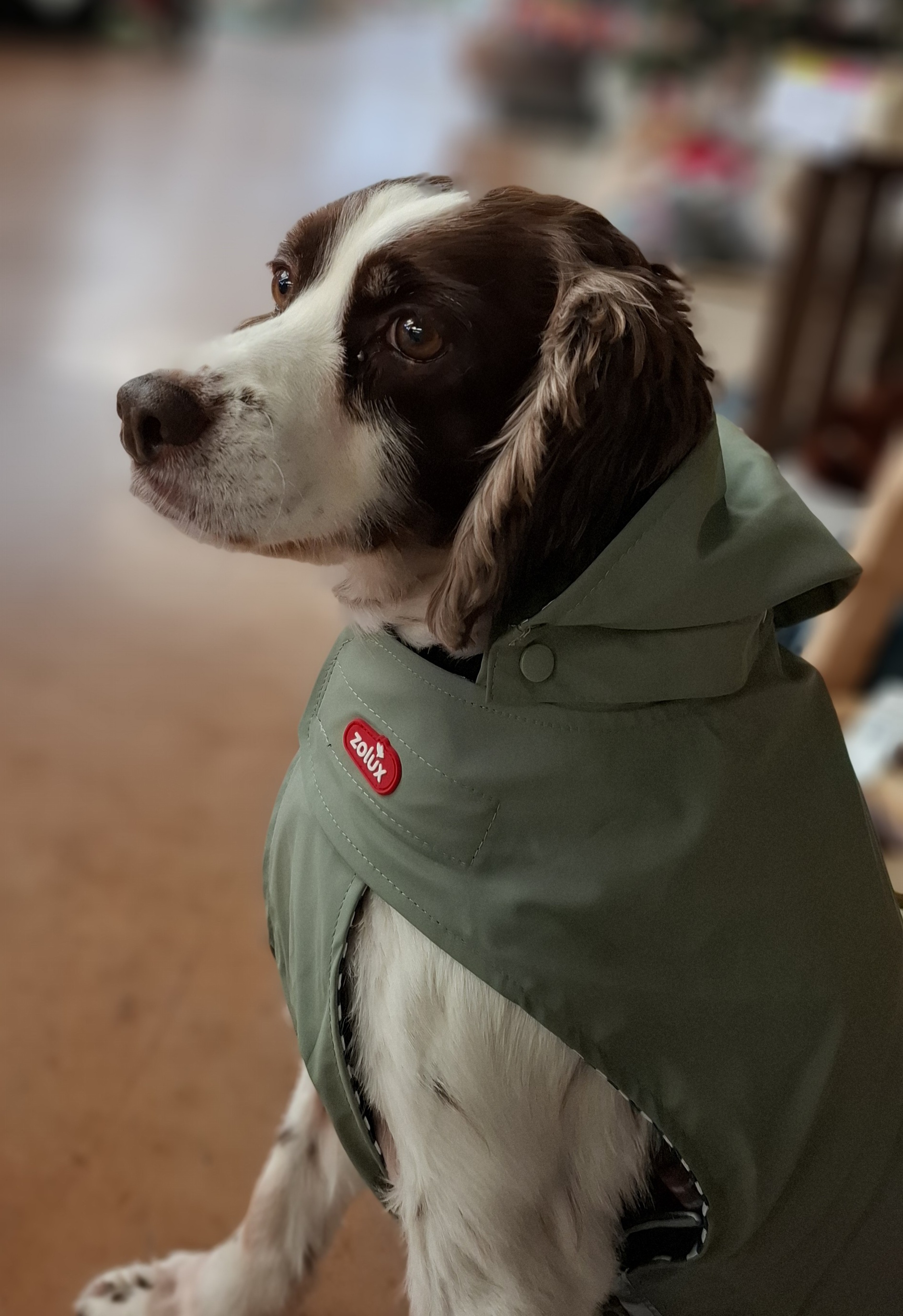 Community-Foto Nummer 307